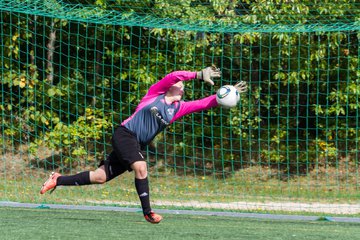 Bild 221 - B-Juniorinnen SV Henstedt Ulzburg - FSC Kaltenkirchen : Ergebnis: 3:2